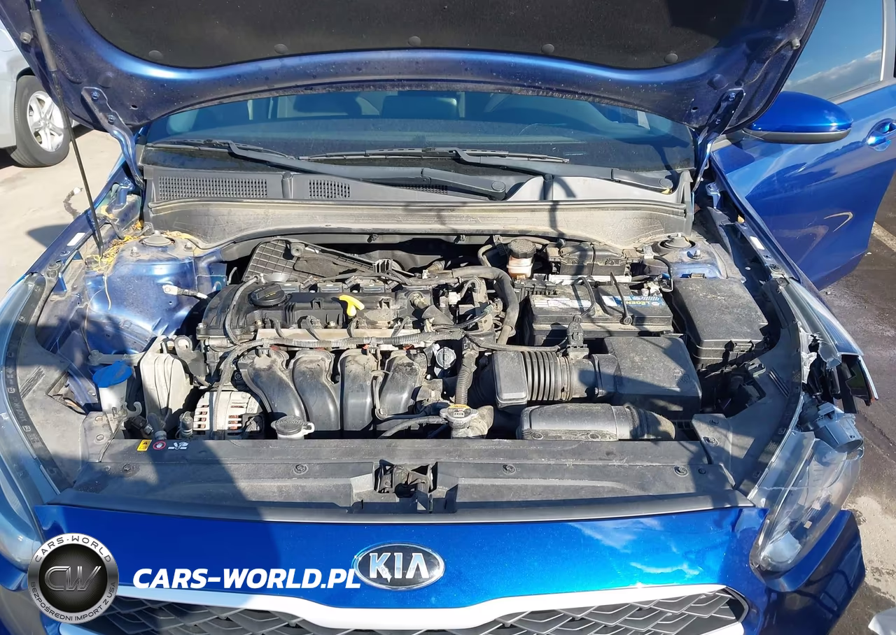 2019 Kia Forte Lxs VIN:3KPF24AD8KE042827 - 10