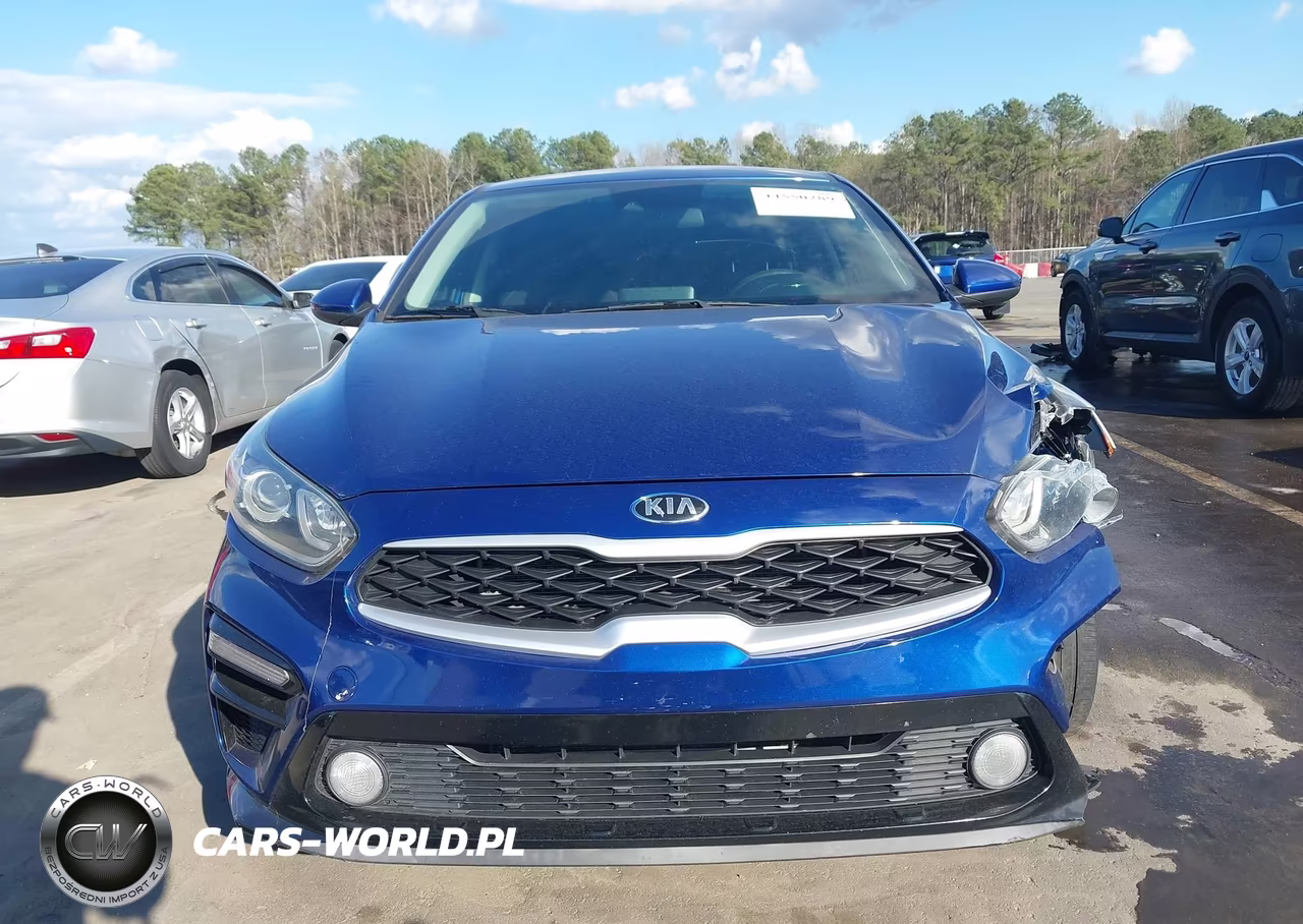 2019 Kia Forte Lxs VIN:3KPF24AD8KE042827 - 12