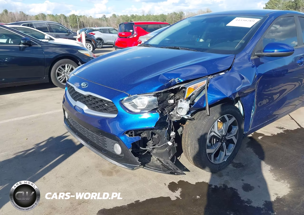 2019 Kia Forte Lxs VIN:3KPF24AD8KE042827 - 6