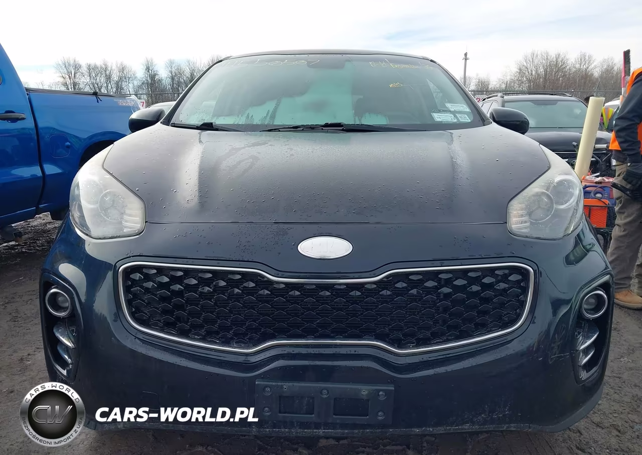 2017 Kia Sportage Lx VIN:KNDPMCAC7H7221711 - 12