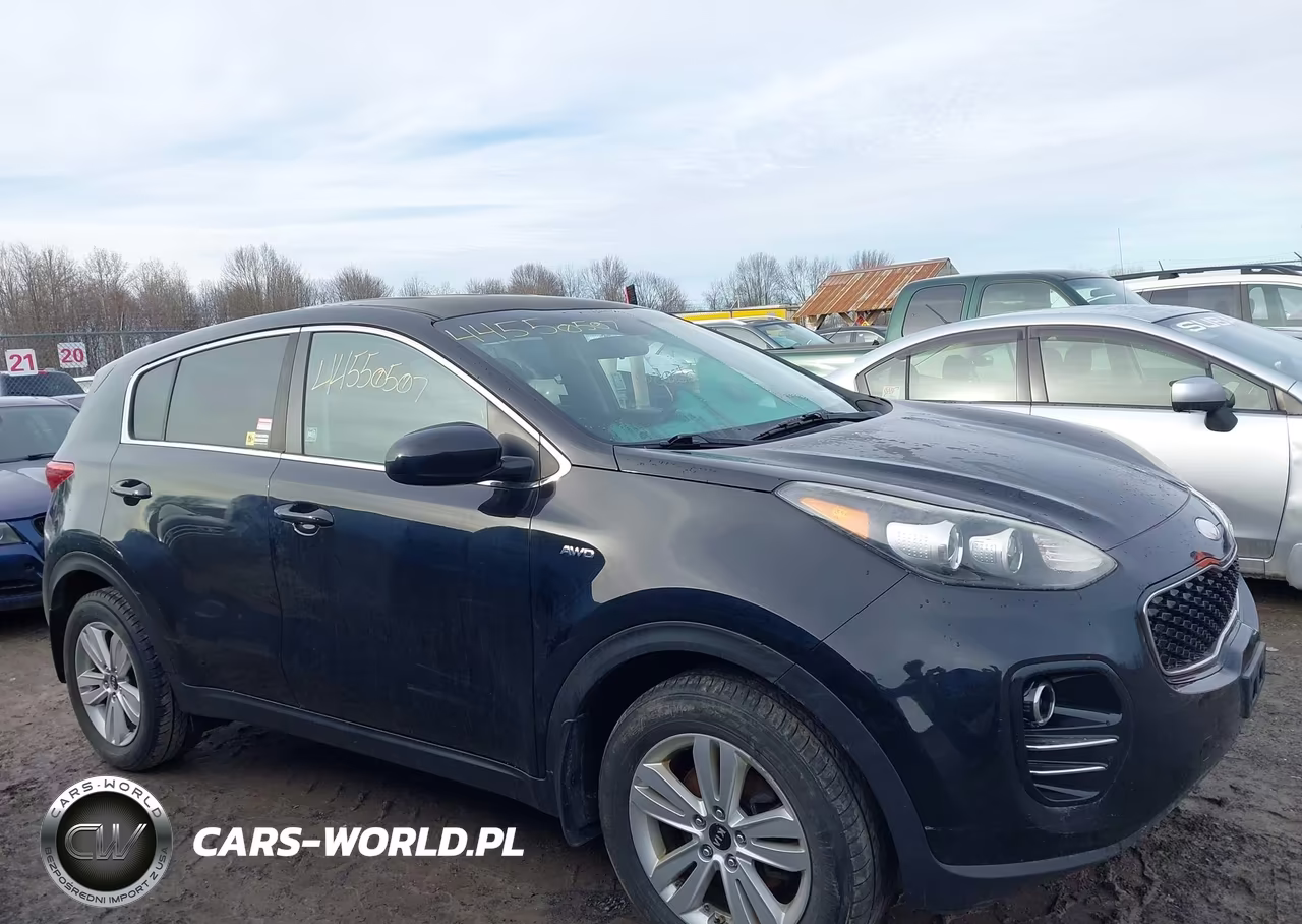 2017 Kia Sportage Lx VIN:KNDPMCAC7H7221711 - 13