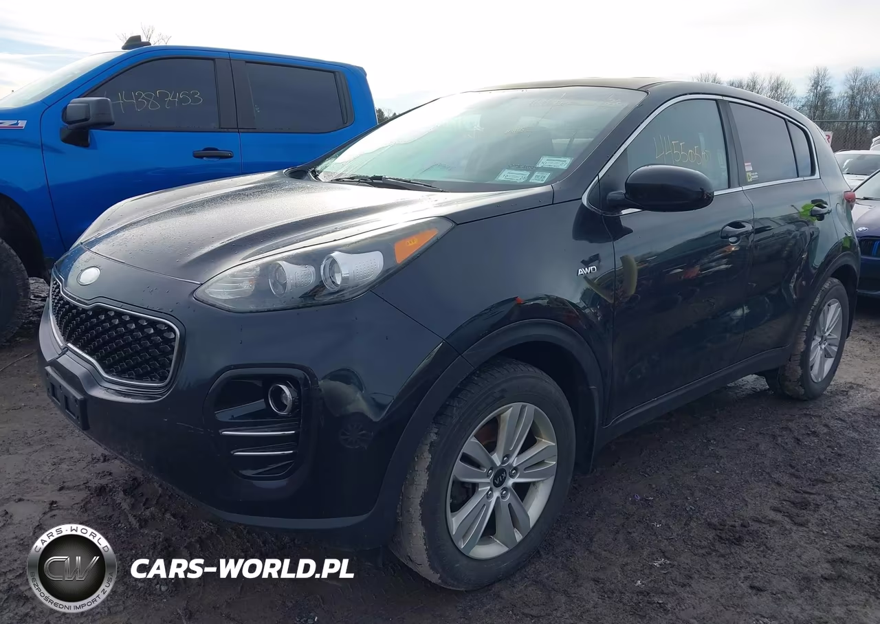 2017 Kia Sportage Lx VIN:KNDPMCAC7H7221711 - 2
