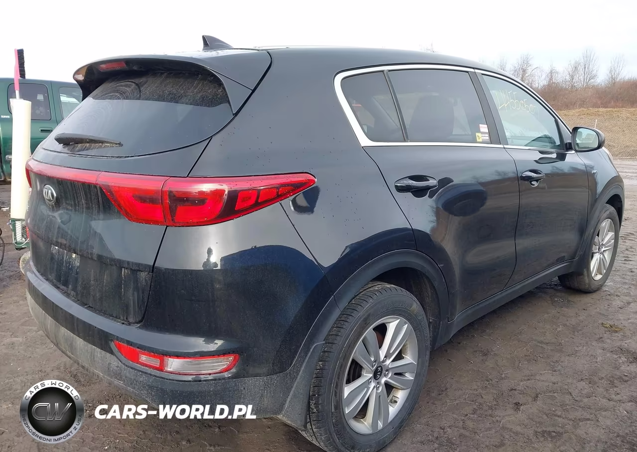 2017 Kia Sportage Lx VIN:KNDPMCAC7H7221711 - 4