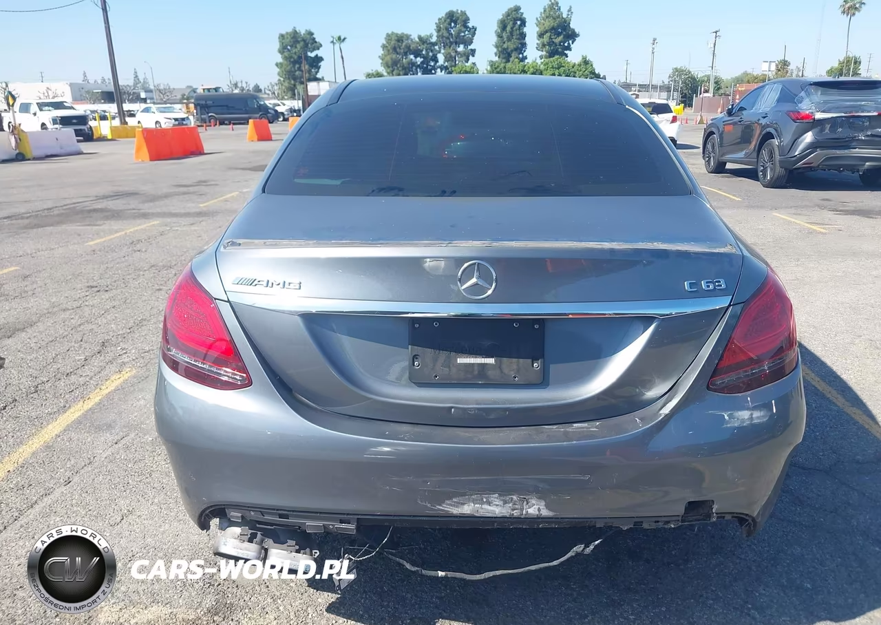 2019 Mercedes-Benz Amg C 63 VIN:55SWF8GB5KU313546 - 16