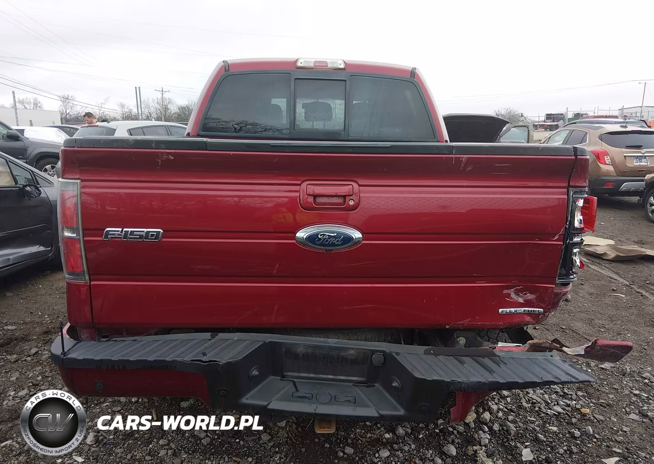 2014 Ford F-150 Fx4-King Ranch-Lariat-Platinum-Stx-Xl-Xlt VIN:1FTFW1EF8EKE29765 - 16