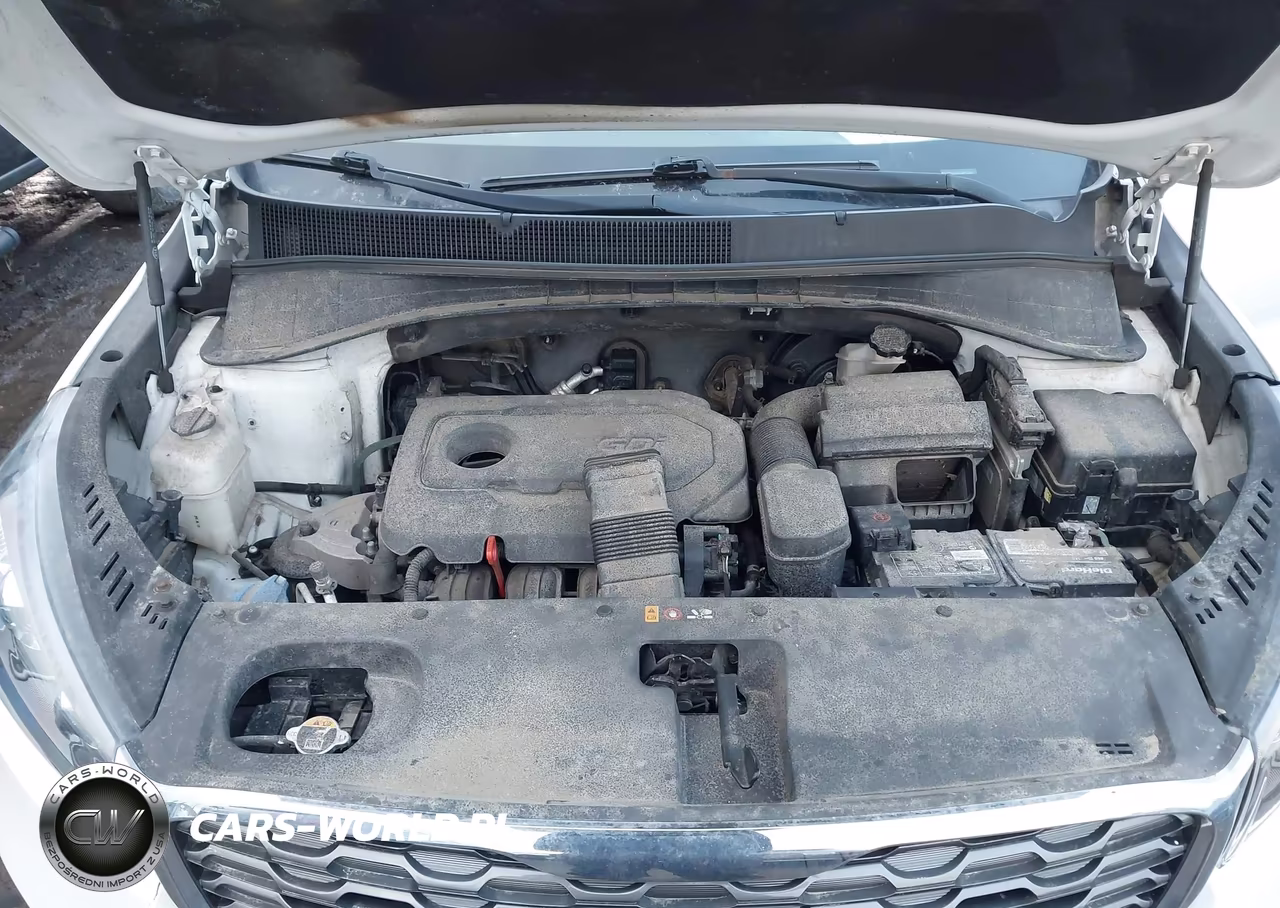 2020 Kia Sorento 2.4L Lx VIN:5XYPGDA3XLG641598 - 10