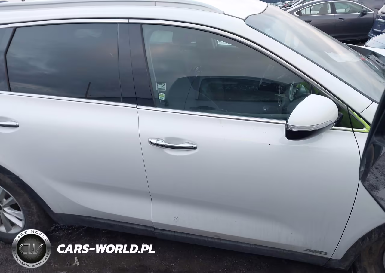 2020 Kia Sorento 2.4L Lx VIN:5XYPGDA3XLG641598 - 13