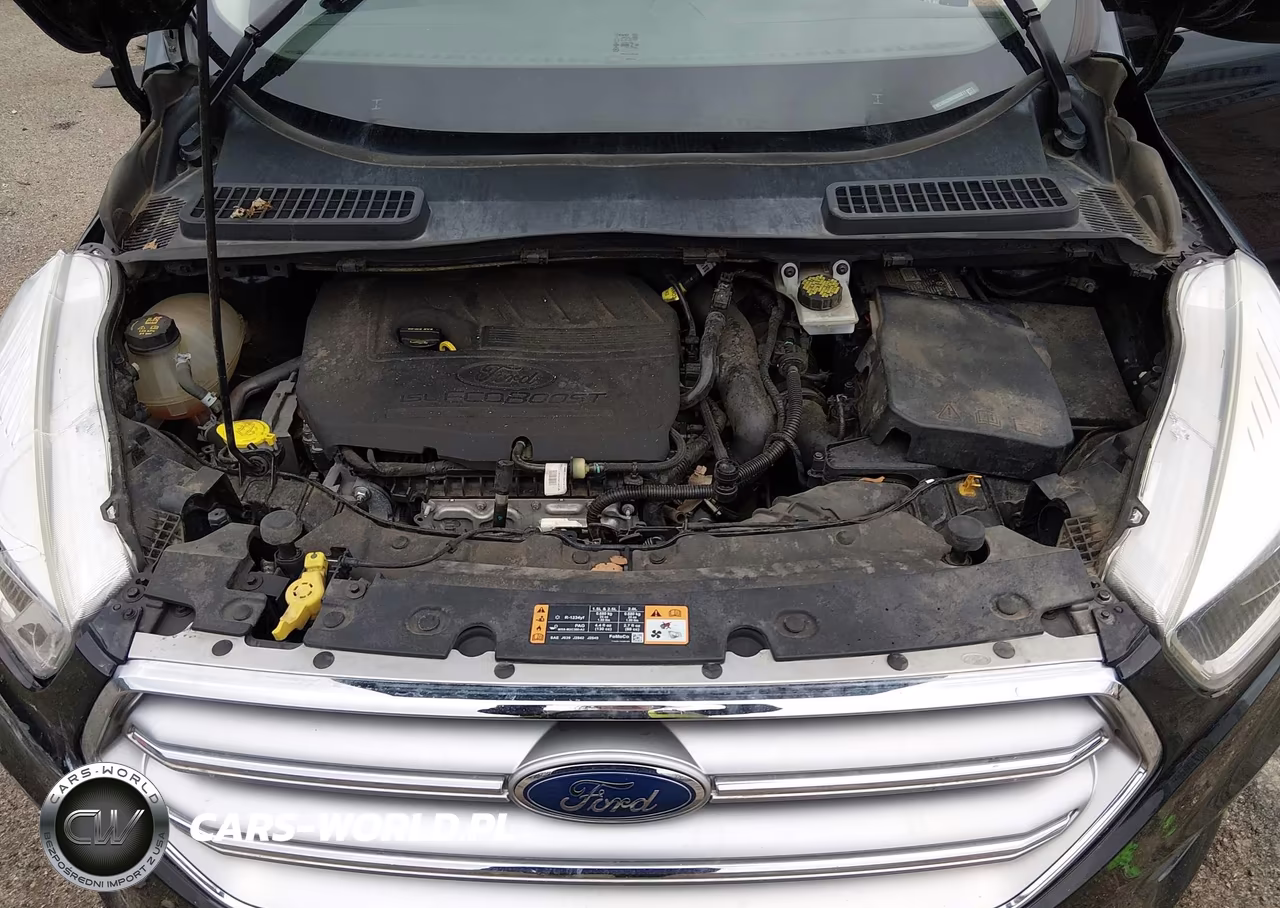 2017 Ford Escape Se VIN:1FMCU0GD8HUD53211 - 10