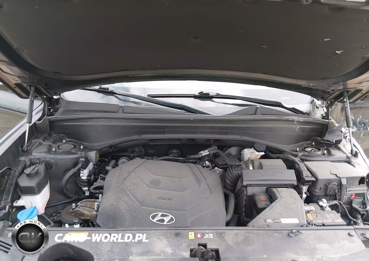 2022 Hyundai Palisade Sel VIN:KM8R4DHE8NU477094 - 10
