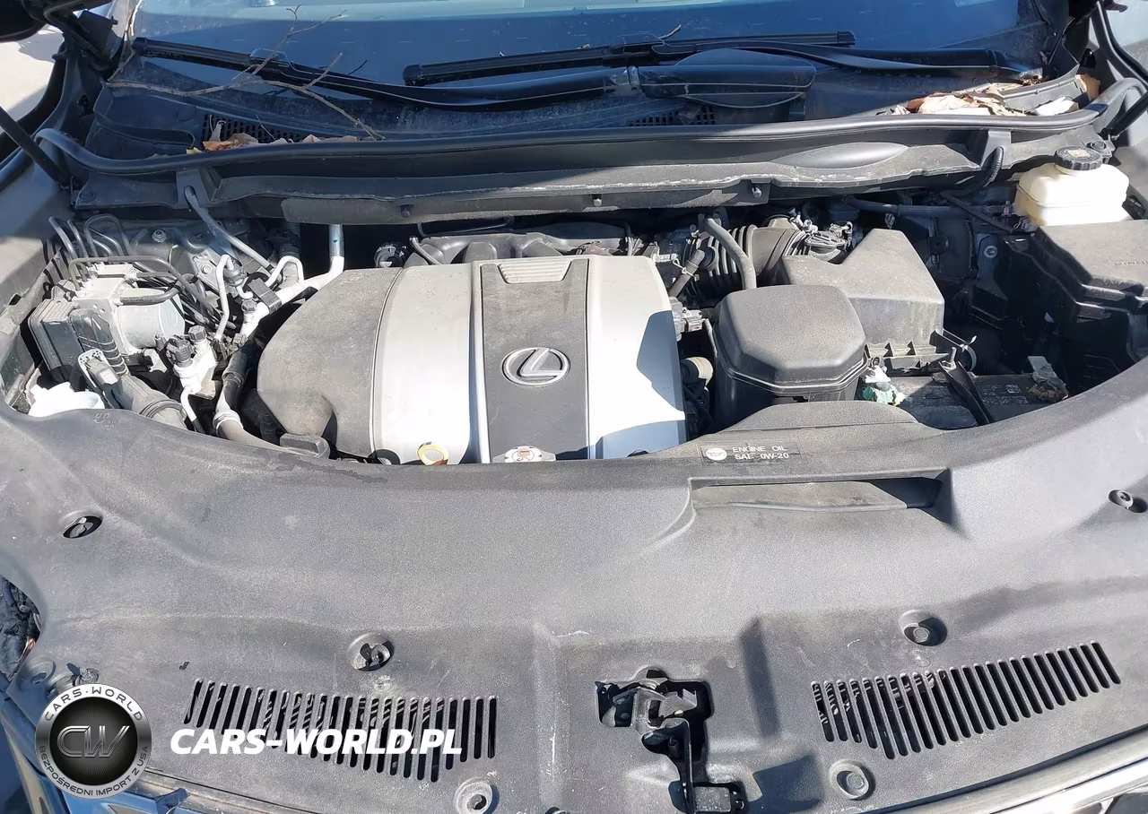 2020 Lexus Rx 350 F Sport Performance VIN:2T2YZMDA2LC242863 - 10