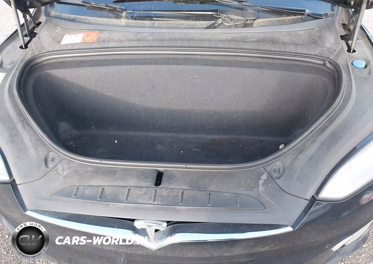 2016 Tesla Model X 60D-70D-75D-90D-P100D VIN:5YJXCBE26GF008241 - 10