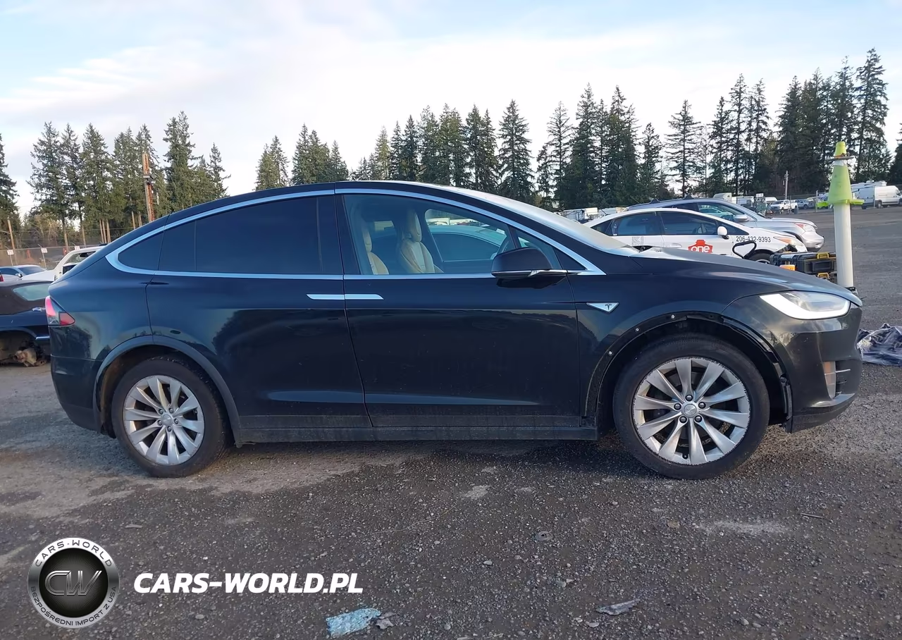 2016 Tesla Model X 60D-70D-75D-90D-P100D VIN:5YJXCBE26GF008241 - 13