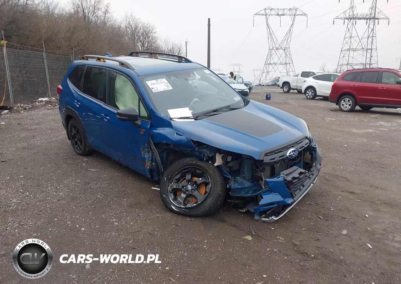 2023 Subaru Forester Wilderness VIN:JF2SKAMC3PH537200 - 19