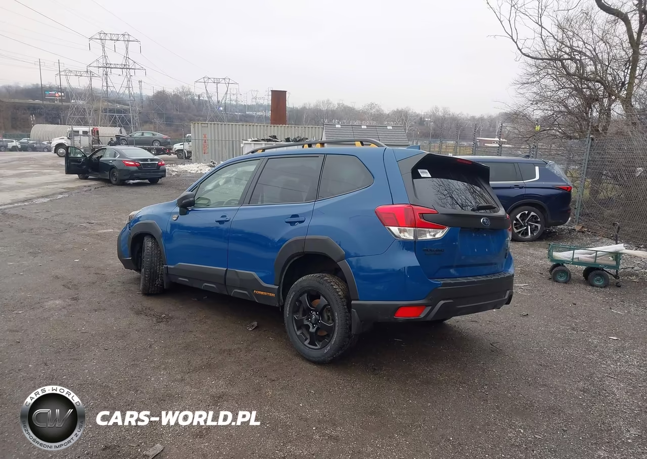2023 Subaru Forester Wilderness VIN:JF2SKAMC3PH537200 - 3