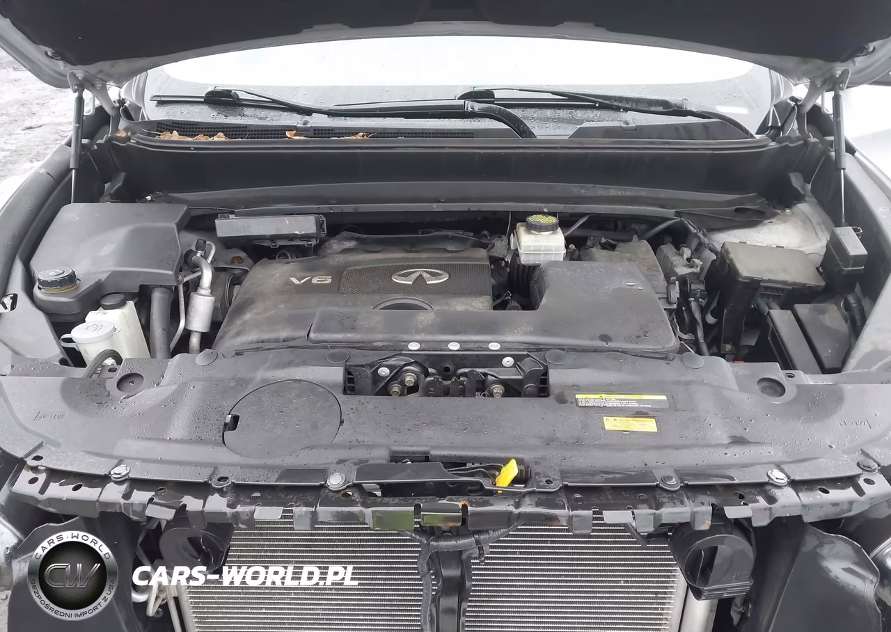2019 Infiniti Qx60 Pure VIN:5N1DL0MM1KC531193 - 10