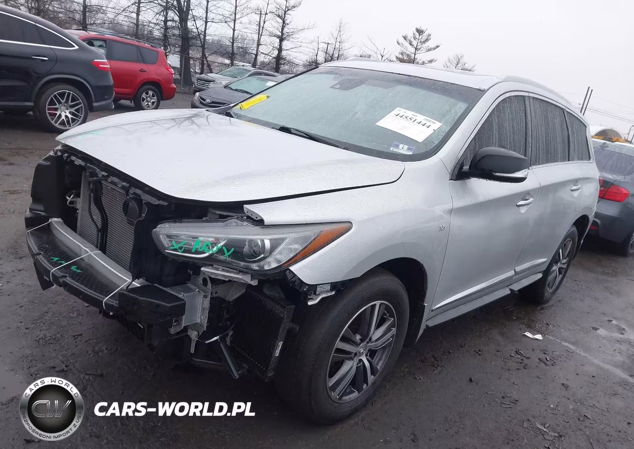 2019 Infiniti Qx60 Pure VIN:5N1DL0MM1KC531193 - 2