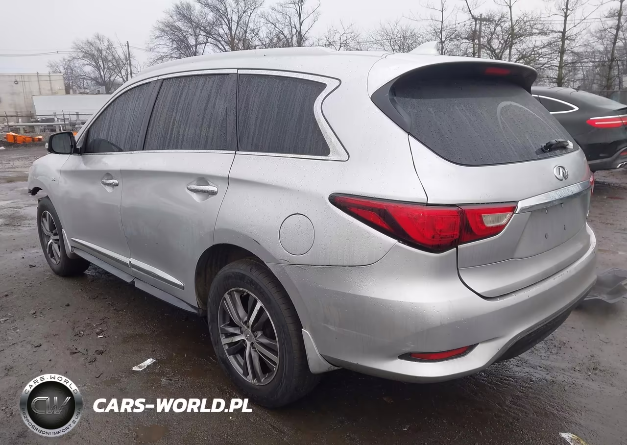 2019 Infiniti Qx60 Pure VIN:5N1DL0MM1KC531193 - 3