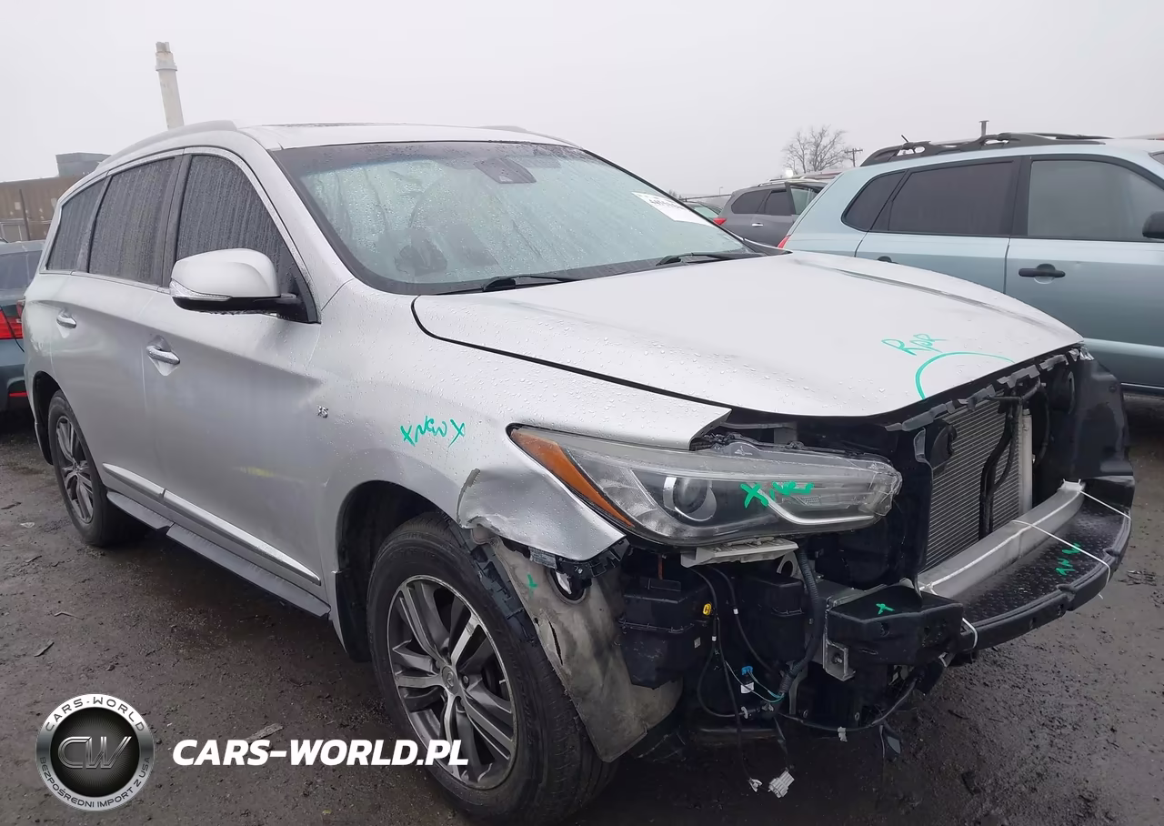 2019 Infiniti Qx60 Pure VIN:5N1DL0MM1KC531193 - 6
