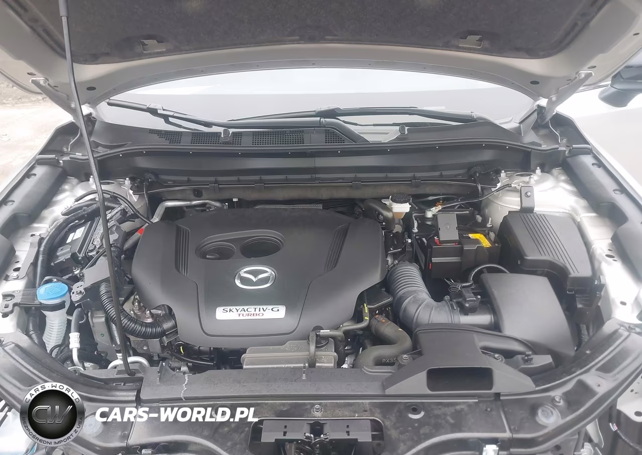 2025 Mazda Cx-5 2.5 Turbo Premium VIN:JM3KFBDYXS0557818 - 10