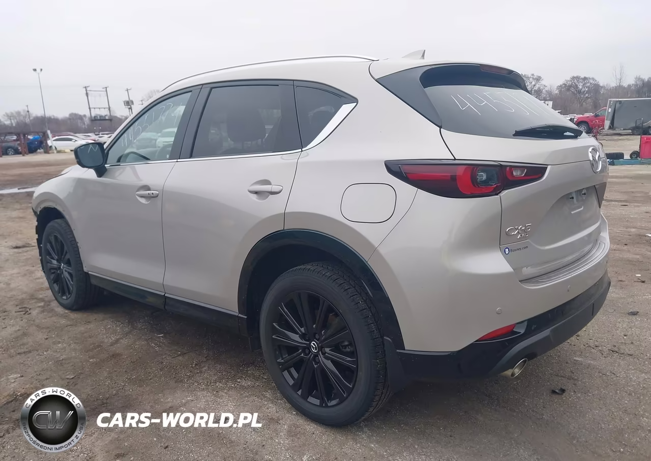 2025 Mazda Cx-5 2.5 Turbo Premium VIN:JM3KFBDYXS0557818 - 3