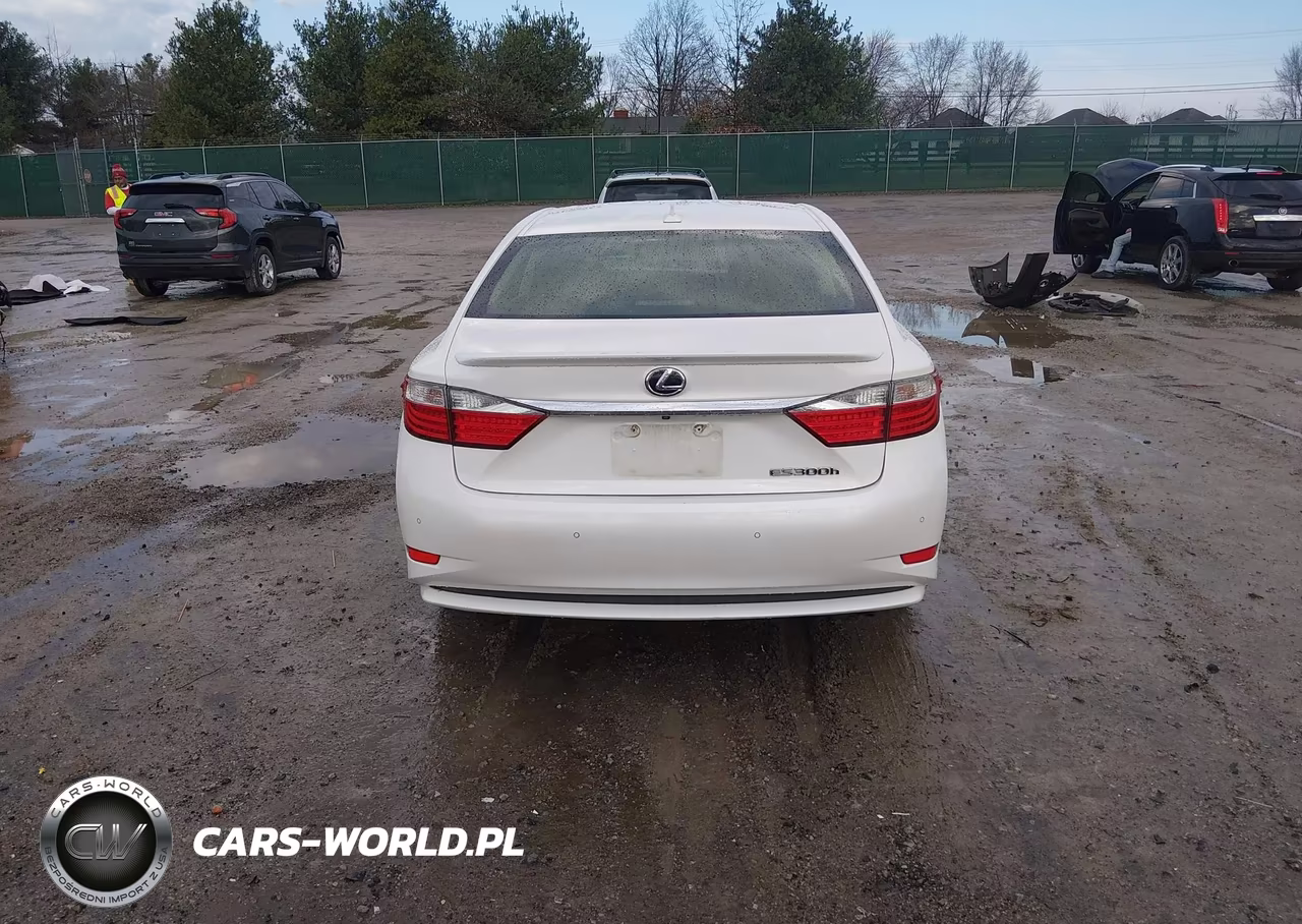 2014 Lexus Es 300H VIN:JTHBW1GG2E2044706 - 17