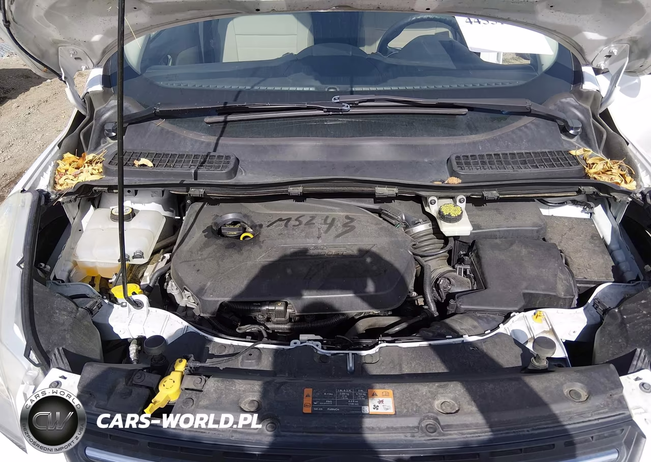 2015 Ford Escape Se VIN:1FMCU9GX9FUA64236 - 10