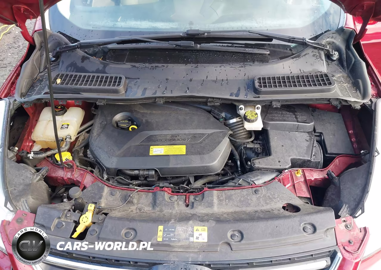 2013 Ford Escape Sel VIN:1FMCU0HX7DUC08194 - 10