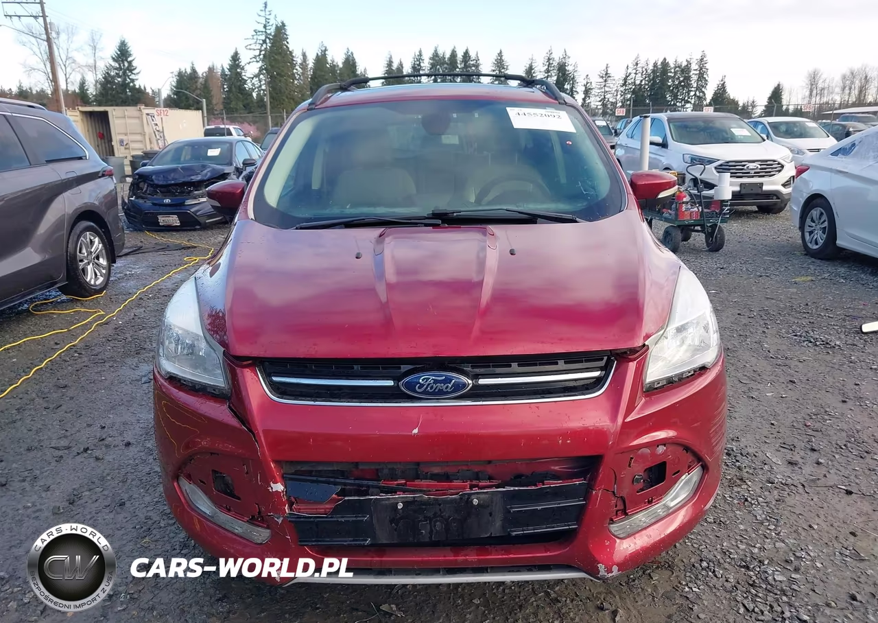 2013 Ford Escape Sel VIN:1FMCU0HX7DUC08194 - 13