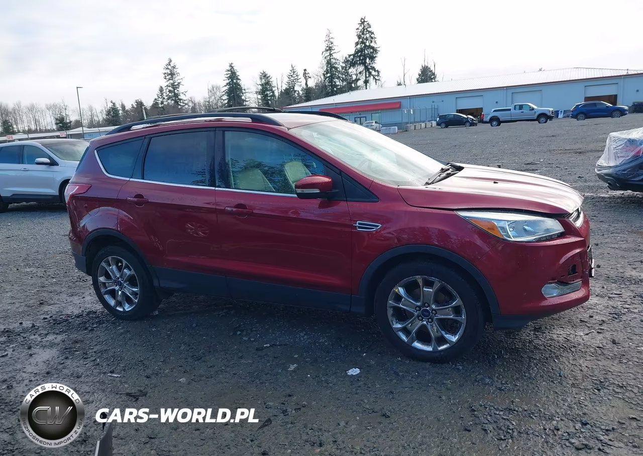 2013 Ford Escape Sel VIN:1FMCU0HX7DUC08194 - 14