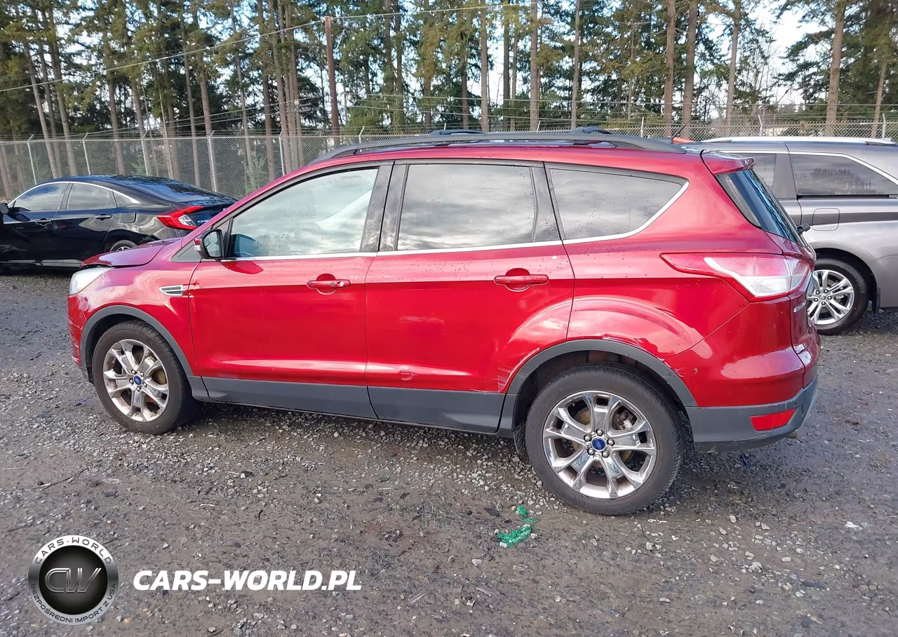 2013 Ford Escape Sel VIN:1FMCU0HX7DUC08194 - 15