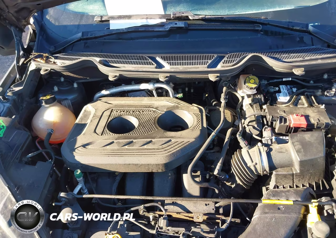 2020 Ford Ecosport Ses VIN:MAJ6S3JL0LC353202 - 10