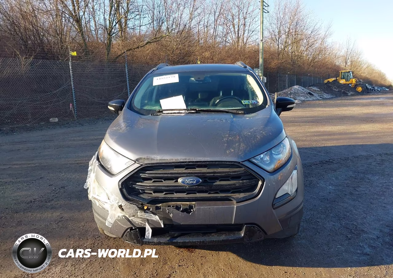 2020 Ford Ecosport Ses VIN:MAJ6S3JL0LC353202 - 13