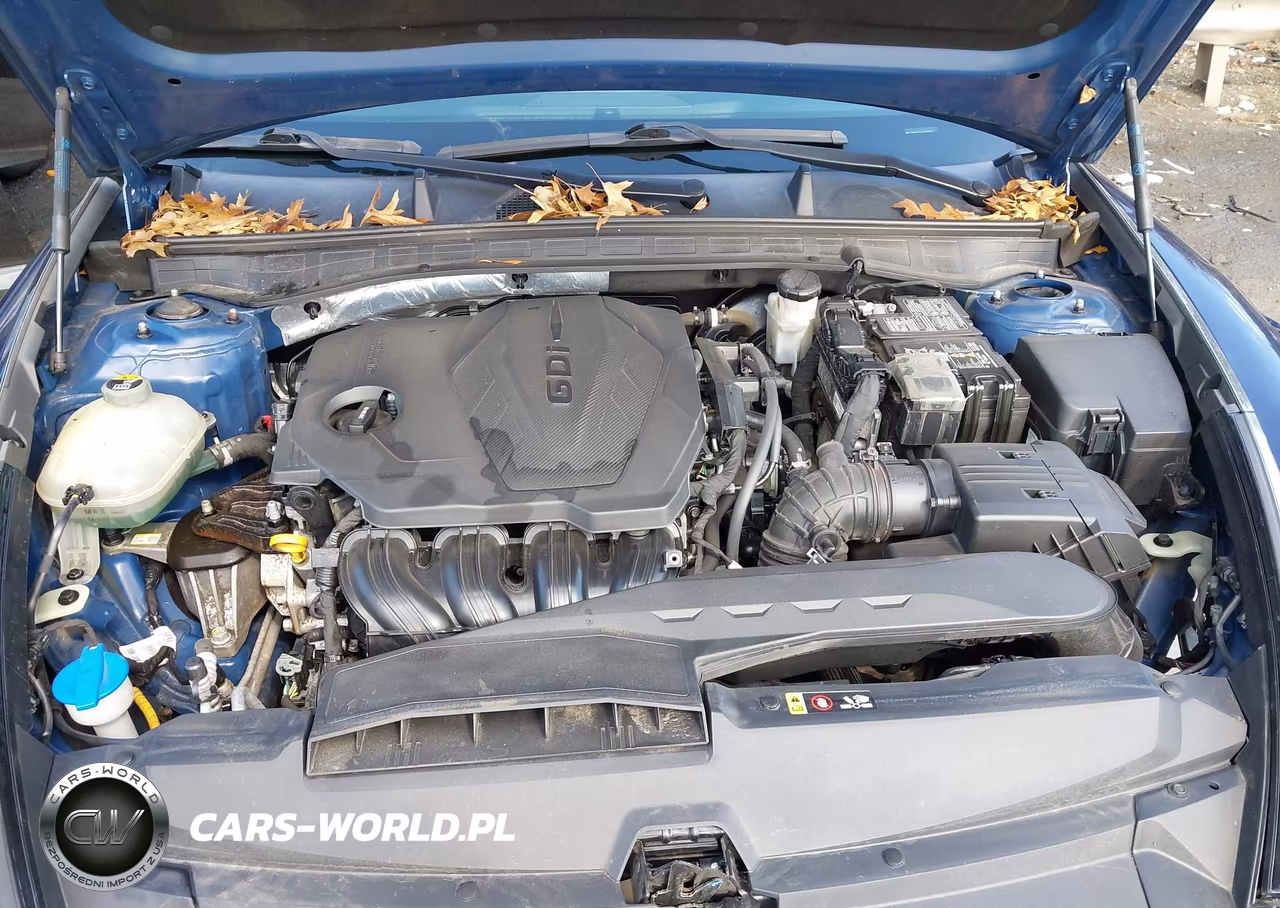 2020 Hyundai Sonata Sel VIN:5NPEF4JAXLH038202 - 10