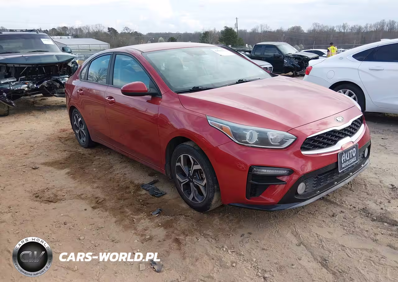 2019 Kia Forte Lxs