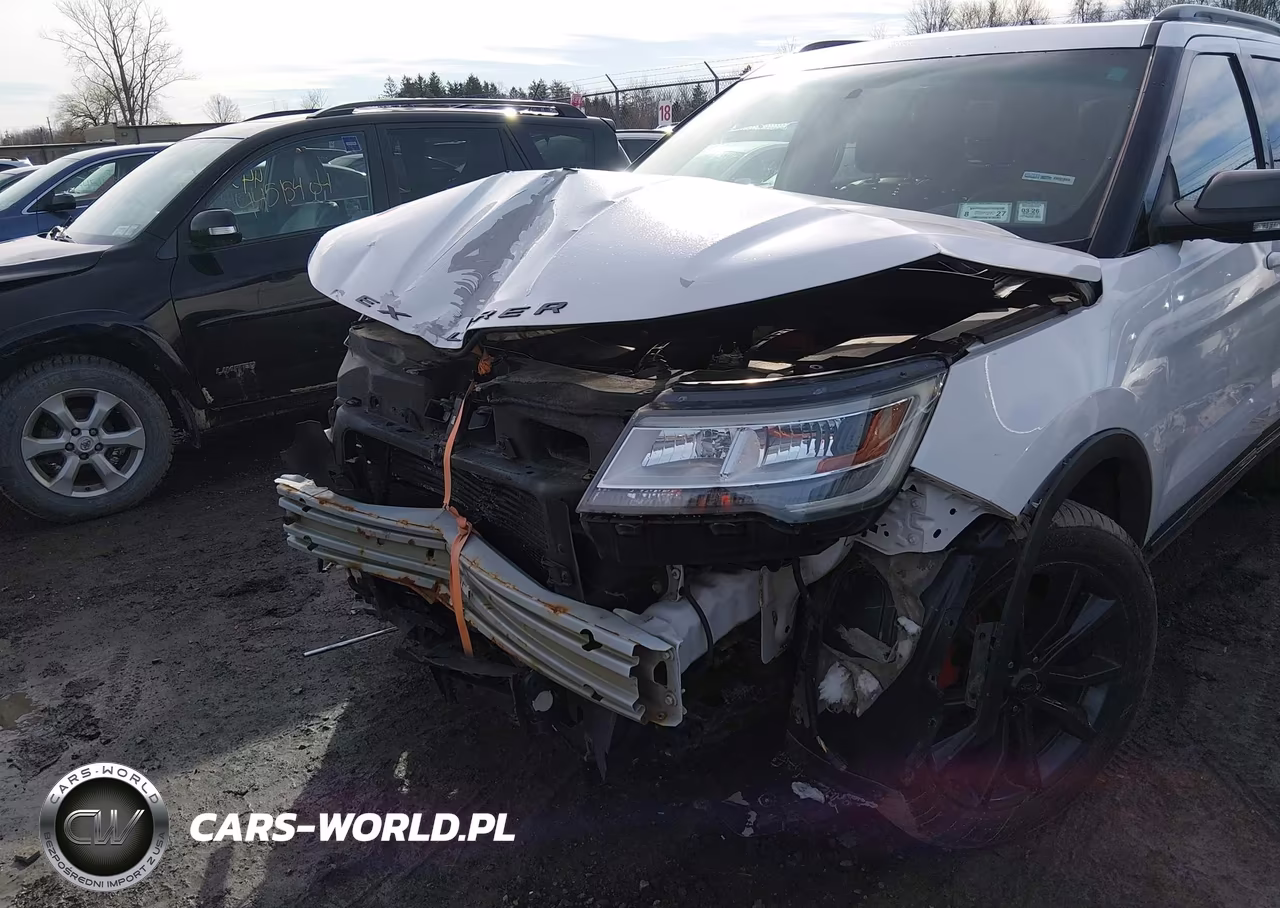 2017 Ford Explorer Xlt VIN:1FM5K8DH2HGC16915 - 18
