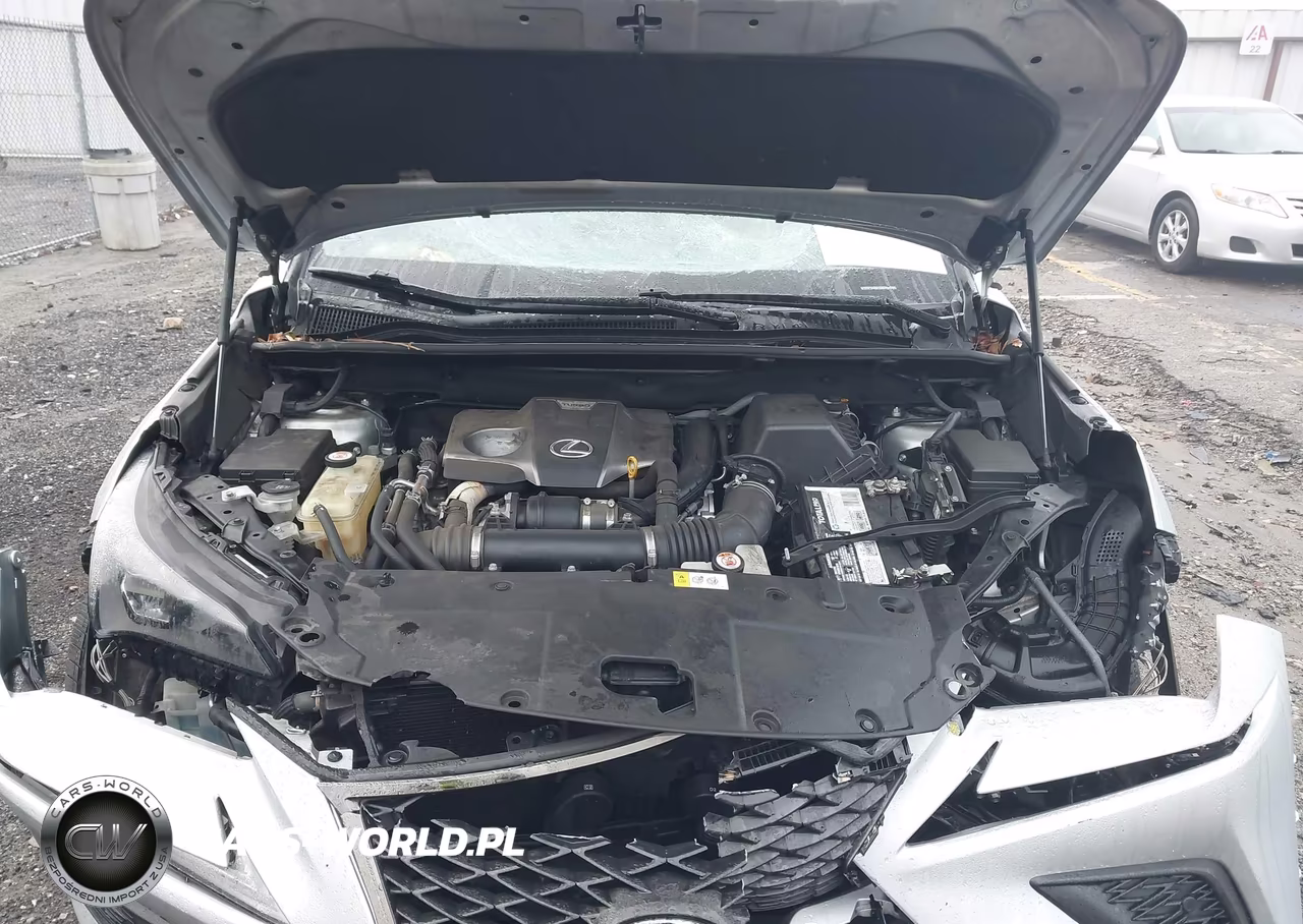 2018 Lexus Nx 300 F Sport VIN:JTJYARBZ6J2104429 - 10