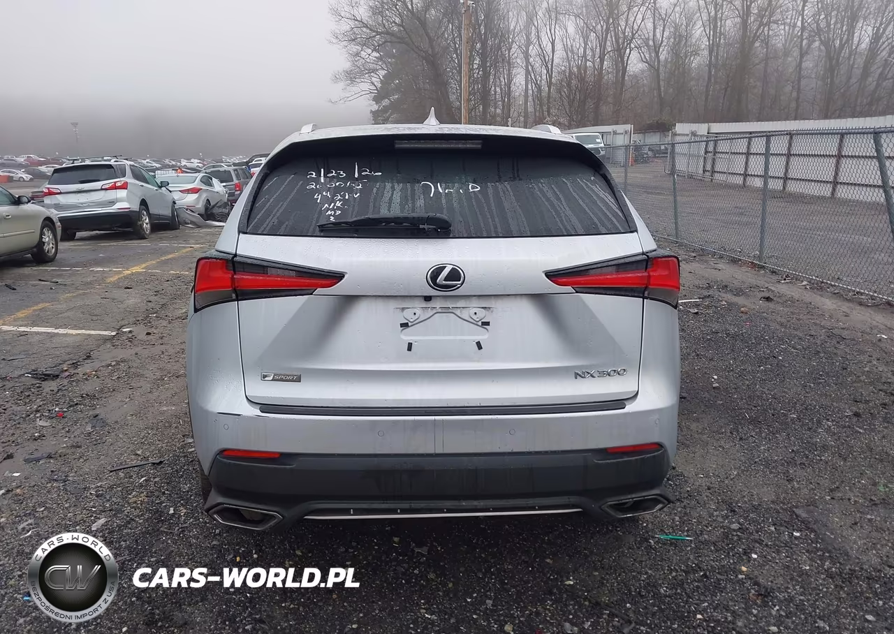 2018 Lexus Nx 300 F Sport VIN:JTJYARBZ6J2104429 - 16