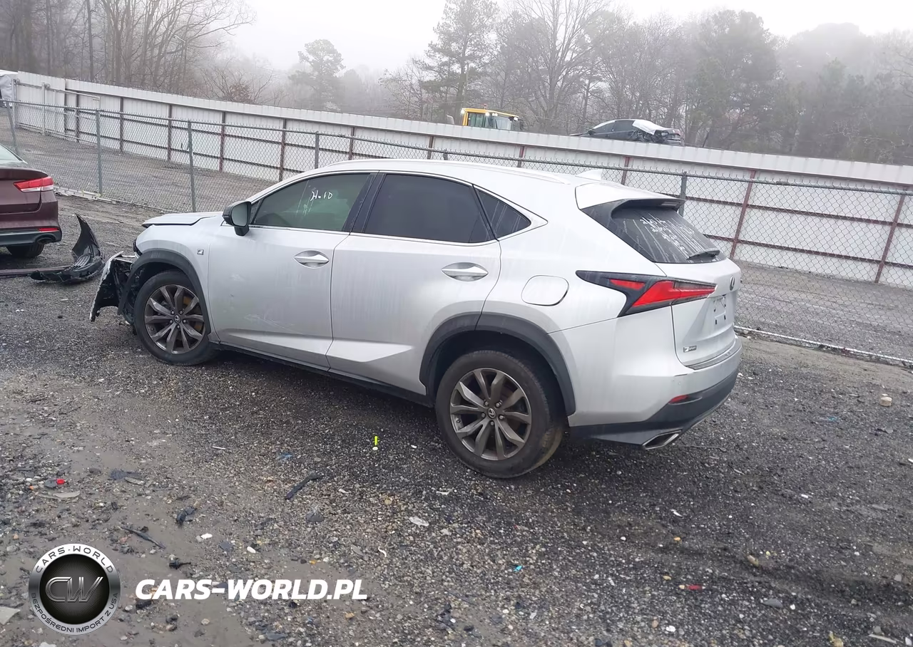 2018 Lexus Nx 300 F Sport VIN:JTJYARBZ6J2104429 - 3
