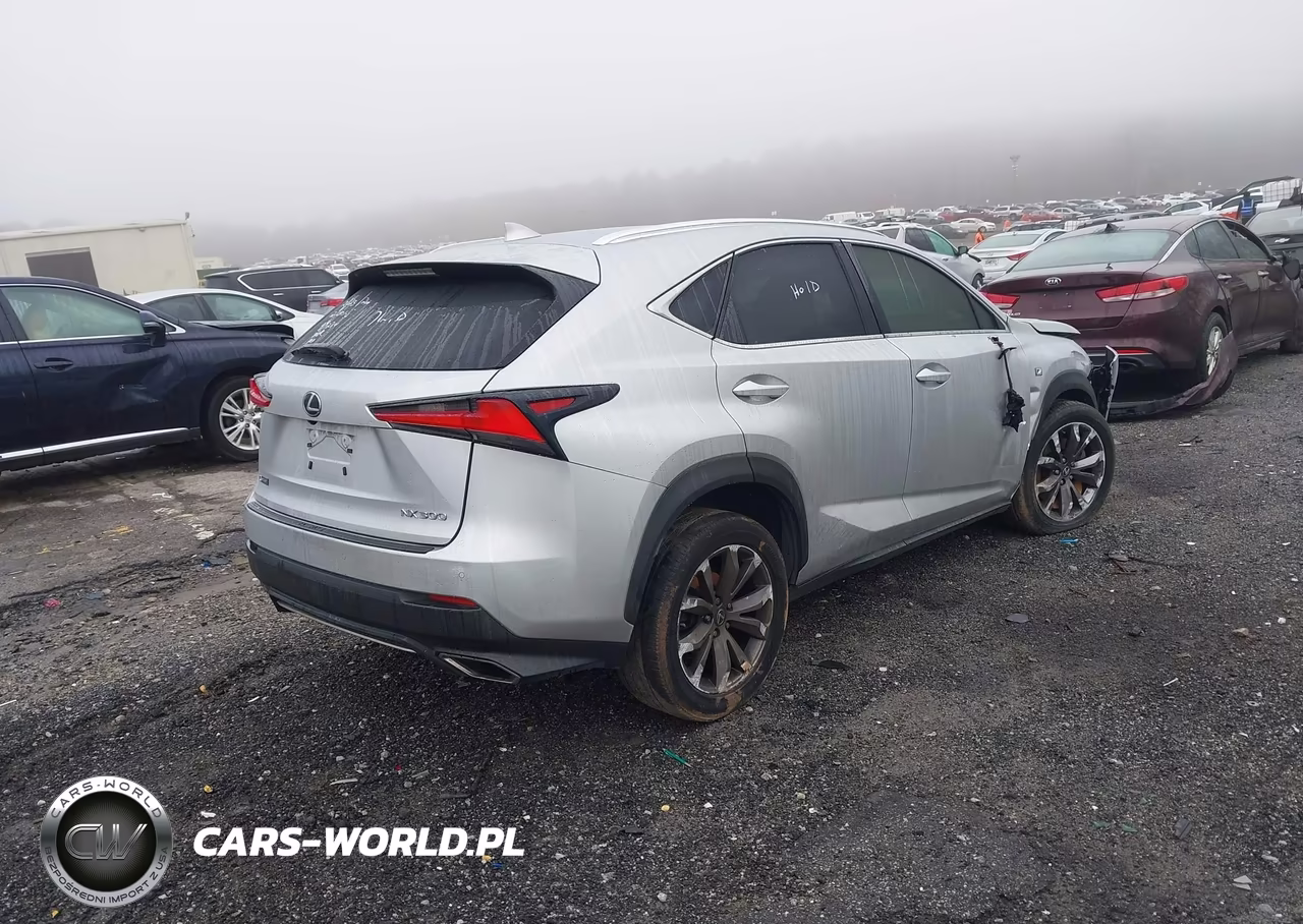 2018 Lexus Nx 300 F Sport VIN:JTJYARBZ6J2104429 - 4