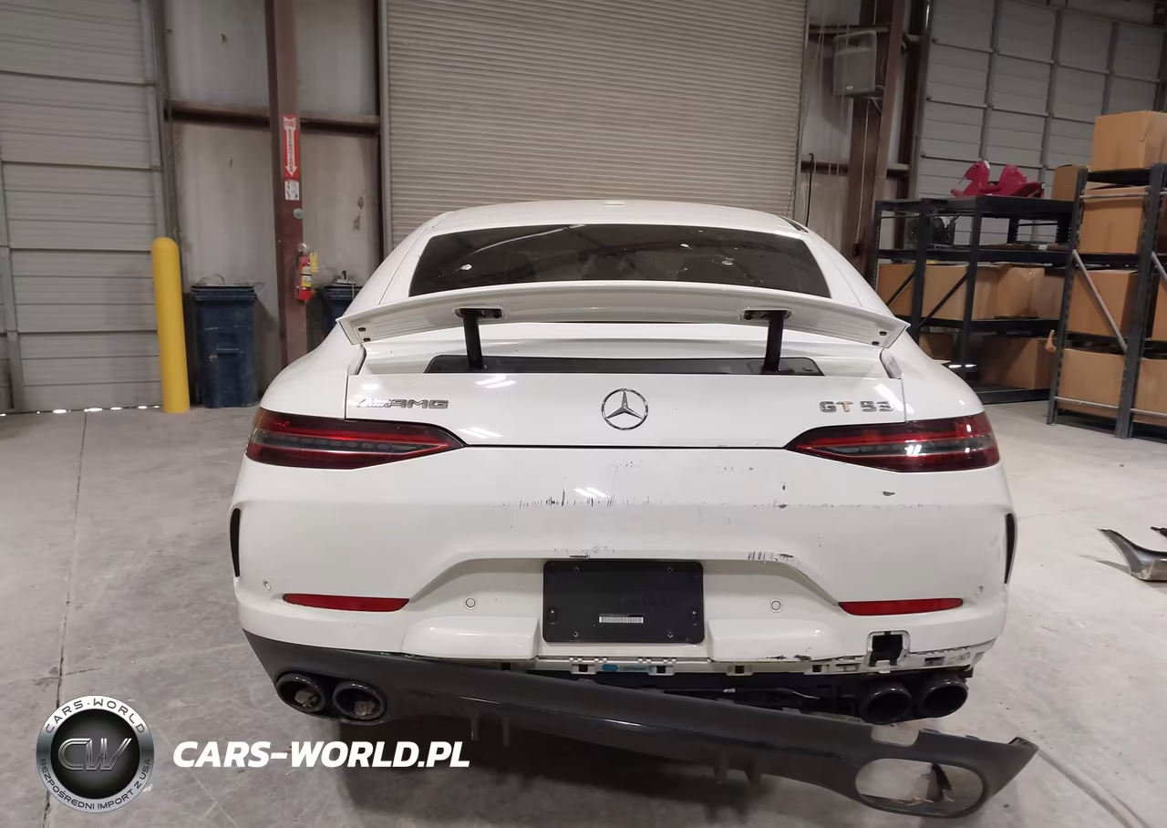 2019 Mercedes-Benz Amg Gt 53 4-Door Coupe VIN:WDD7X6BB3KA008267 - 17