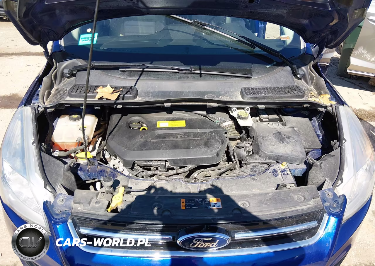2013 Ford Escape Sel VIN:1FMCU0HX9DUC80417 - 10