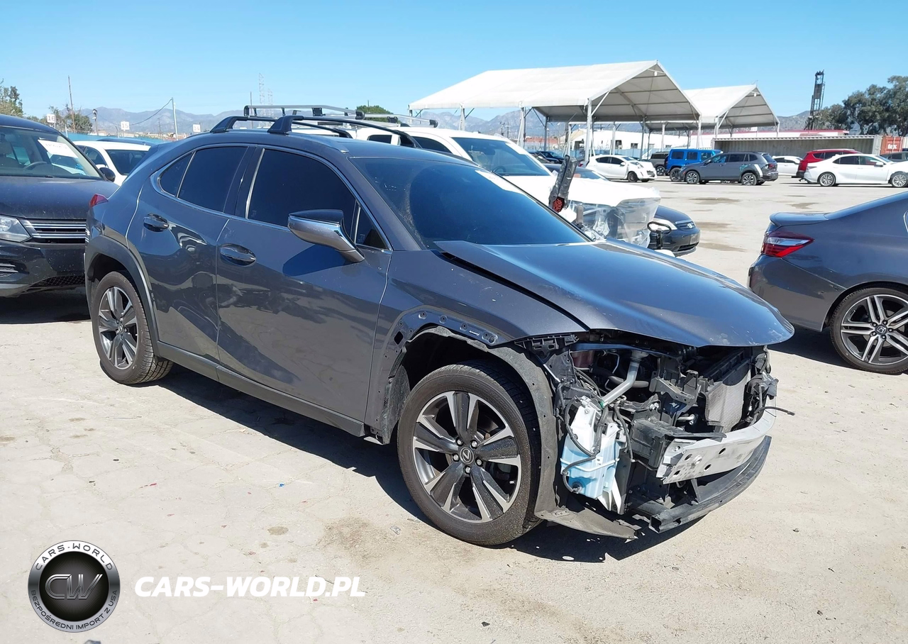 2019 Lexus Ux 200