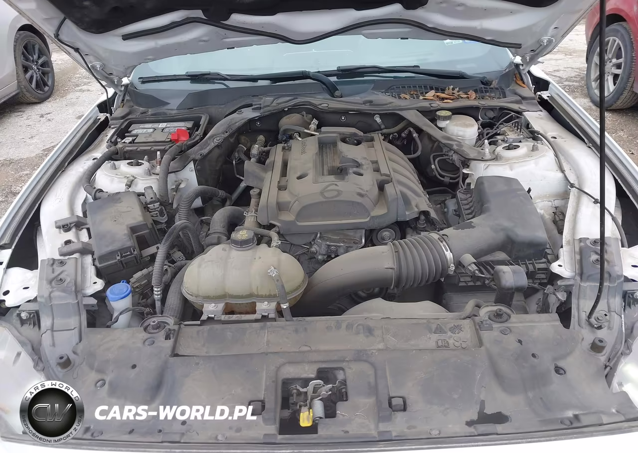 2020 Ford Mustang Ecoboost VIN:1FATP8UH4L5172939 - 10