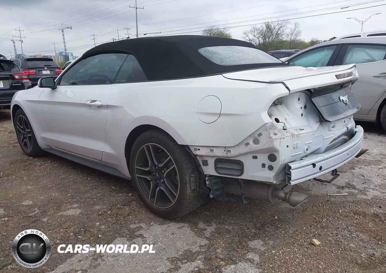 2020 Ford Mustang Ecoboost VIN:1FATP8UH4L5172939 - 3