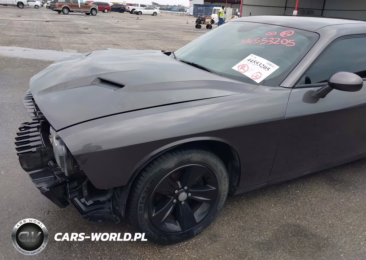 2021 Dodge Challenger Sxt VIN:2C3CDZAGXMH534498 - 19