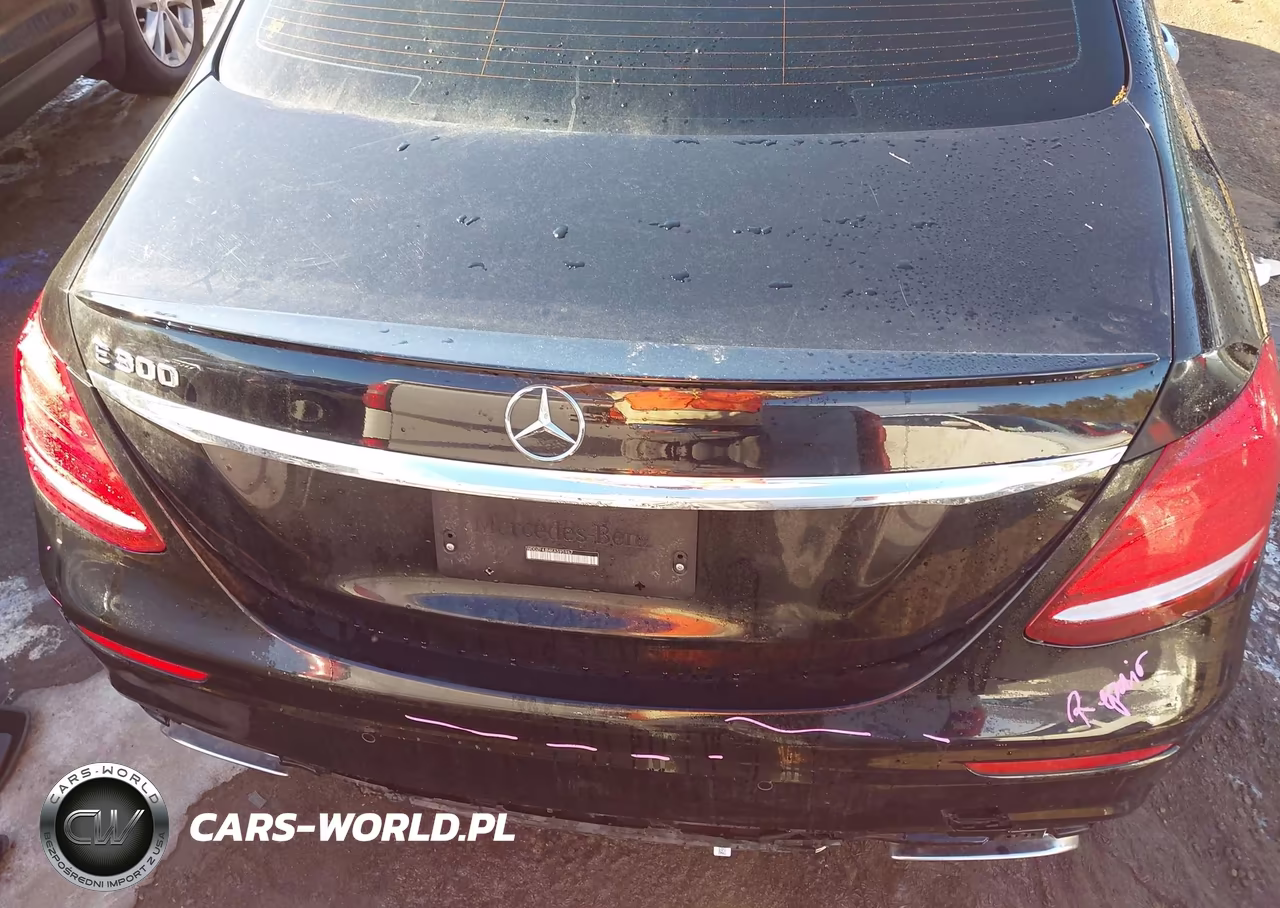 2019 Mercedes-Benz E 300 VIN:WDDZF4JB4KA595967 - 16