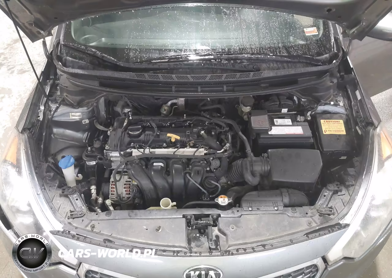 2016 Kia Forte Lx VIN:KNAFX4A69G5607766 - 10