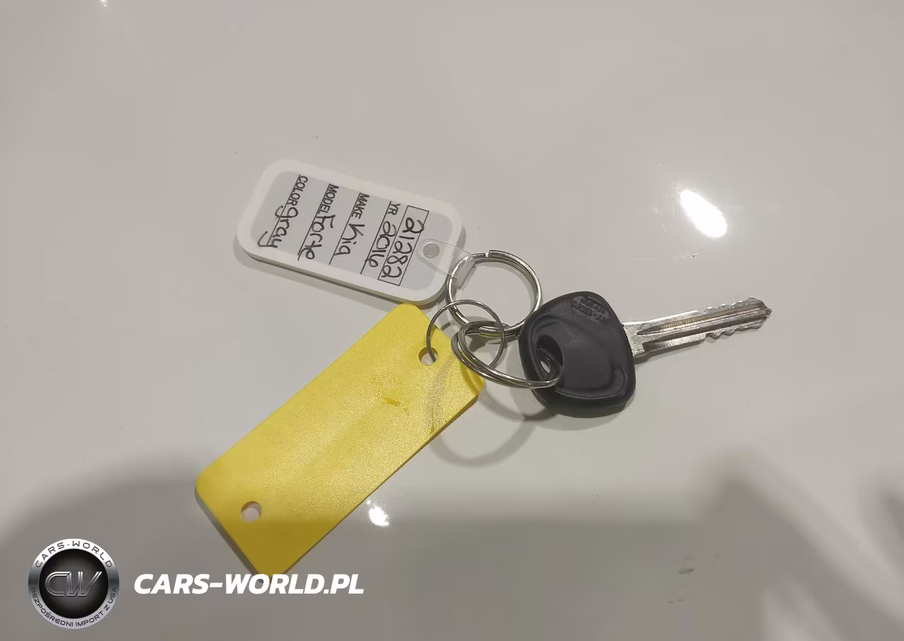 2016 Kia Forte Lx VIN:KNAFX4A69G5607766 - 11