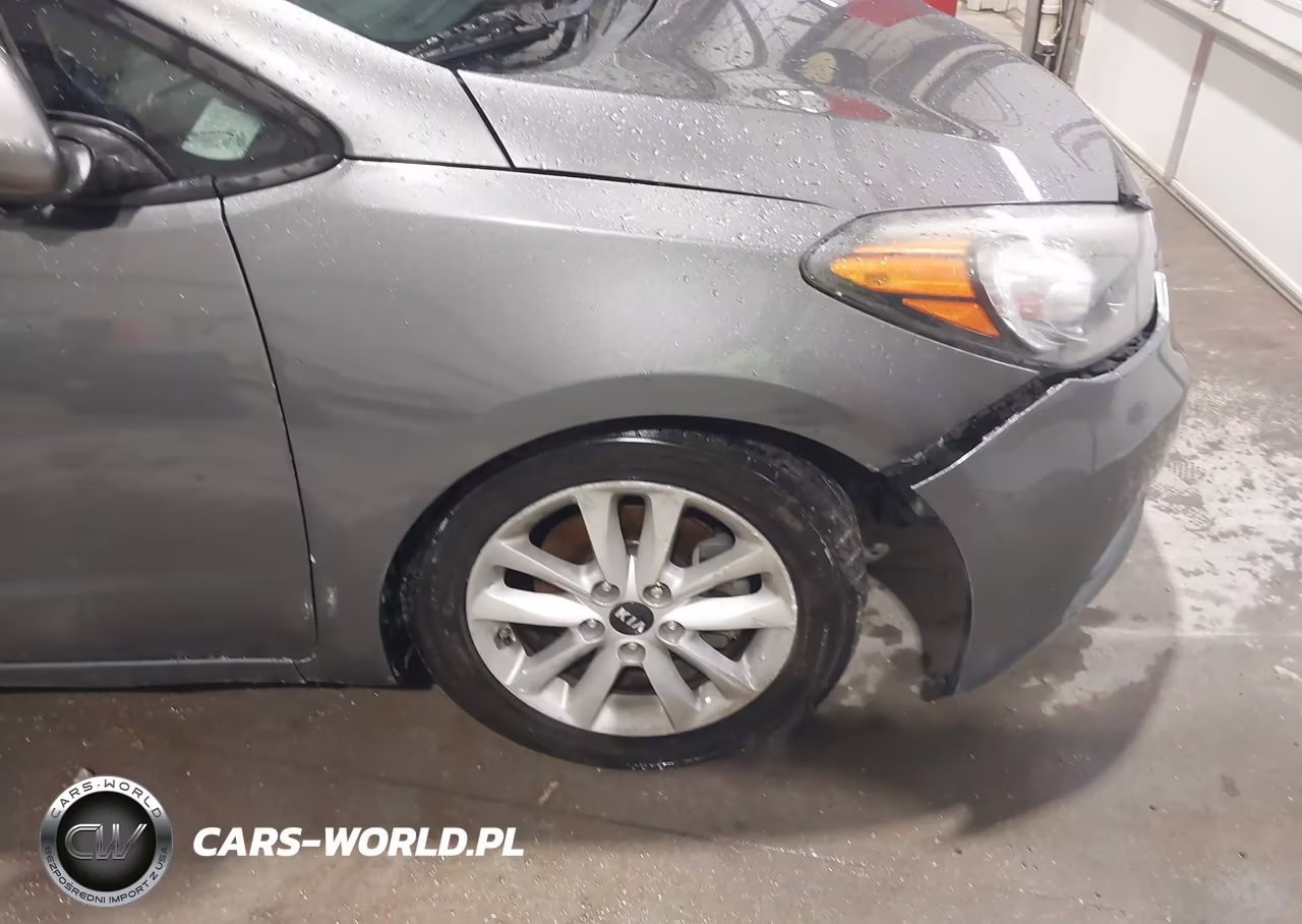 2016 Kia Forte Lx VIN:KNAFX4A69G5607766 - 12
