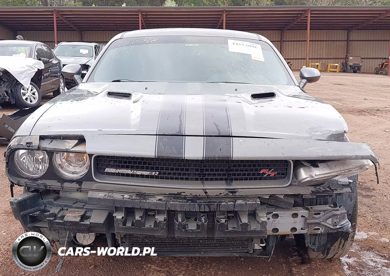 2011 Dodge Challenger R-T VIN:2B3CJ5DT3BH541653 - 13